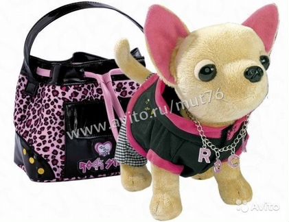 Чичилав Собачка