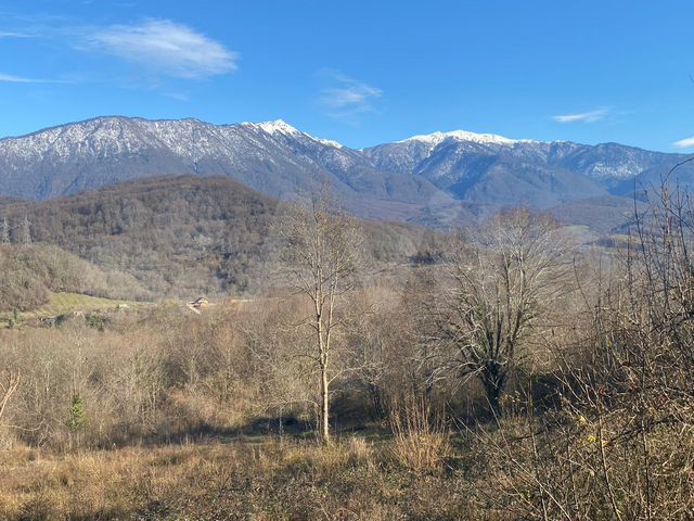 Участок 23 сот. (ИЖС)