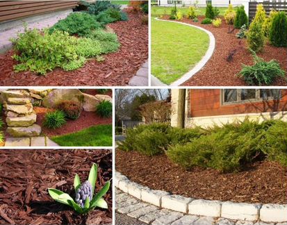 Кора, мульча сосны лиственницы