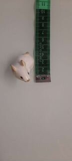 Мышка декоративная