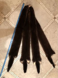 Шкурки норки