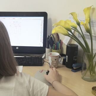 Конструктор одежды. Лекала с пошивом образца