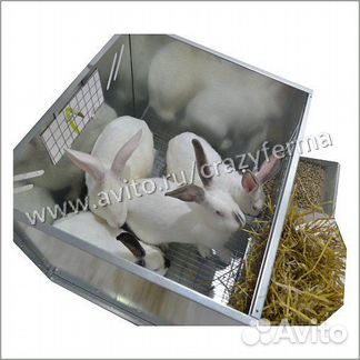 Клетка для кроликов