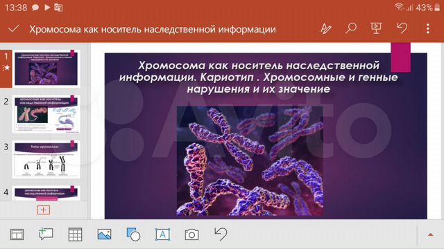Носителем наследственной информации является хромосомы. Носителем наследственной информации является хромосомы