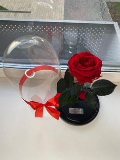 Роза в колбе