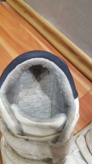 Кроссовки белые mothecare