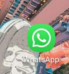 Администратор WhatsApp
