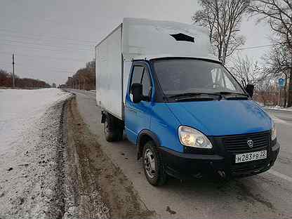Газель бийск