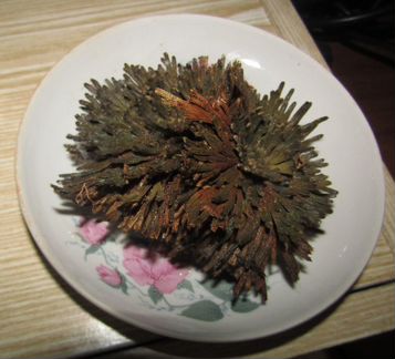 Роза иерихона, иерихонская роза, мох, папоротник