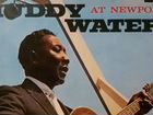 Muddy Waters.AT Newport 1960.Винил