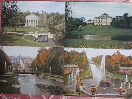 Пригороды Ленинграда 1983г