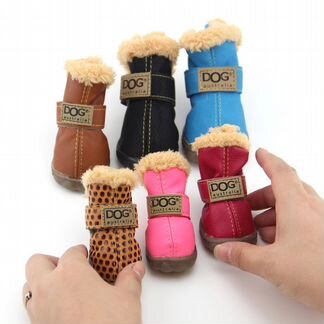 Обувь для собак