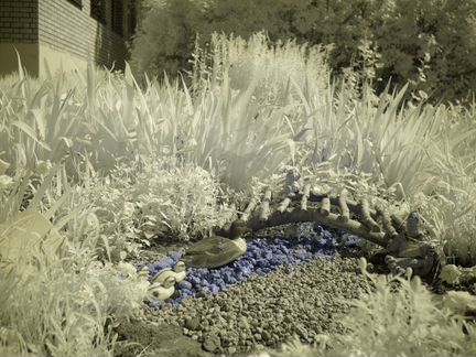 Ультрафиолетовый полноспектровой фотоаппарат