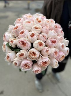 Пионы Пионовидных розы Букет пионов 7 11 15 25
