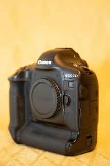 Canon 1DX. Идеал