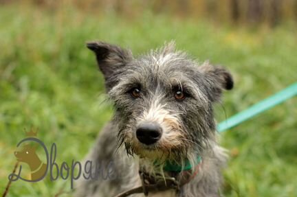 Нора в самые добрые руки