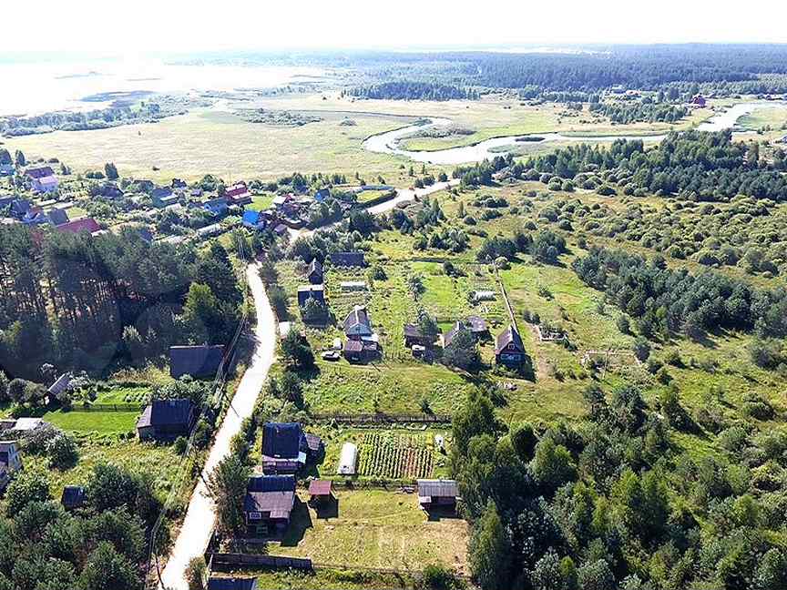 Авито холм. Княщино Новгородская область. Колдино Торопецкий район. Деревня Уварово Домодедовский район. Торопецкий район деревня Уварово света Богданова.