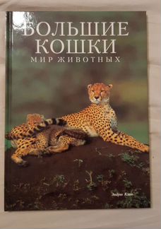 Кошки. Книги