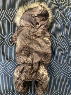 Одежда для собак мелких пород