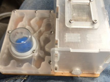 Муравьиная ферма