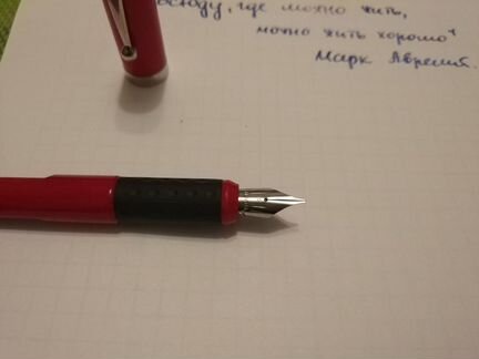 Перьевая ручка Sheaffer Viewpoint Calligraphy F